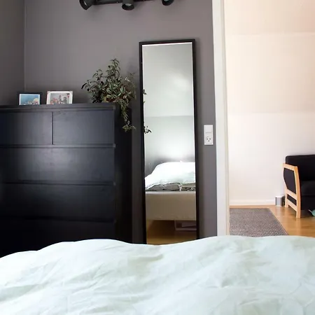 Cozy 아파트